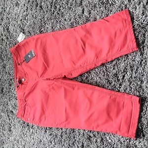 NWT Baccini Jeans